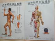 痛症推拿養生館