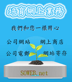 網站設計,公司電郵